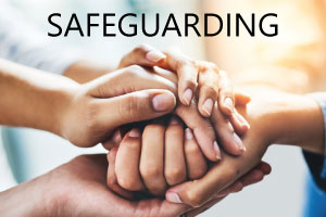 Safeguarding link
