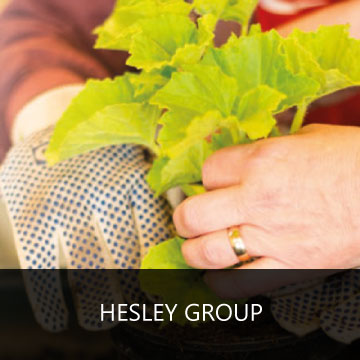 Leadership & Management for Hesley Group text box
